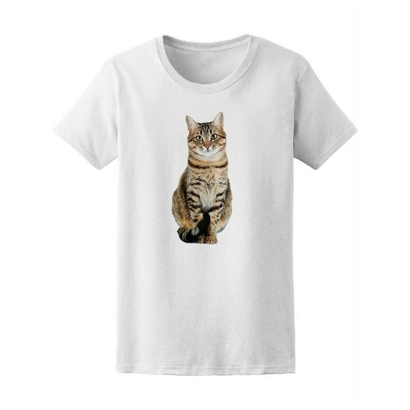 Beautiful Multicolor Cat Photo T-Shirt Women -Image by Shutterstock, Female XX-Large