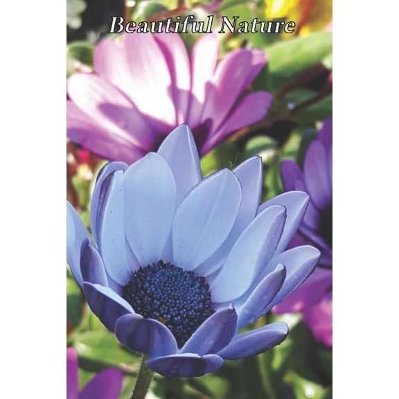 Beautiful Nature: For School and Notes, Gifts, 6" x 9" 120 Pages Checkered, (Paperback)