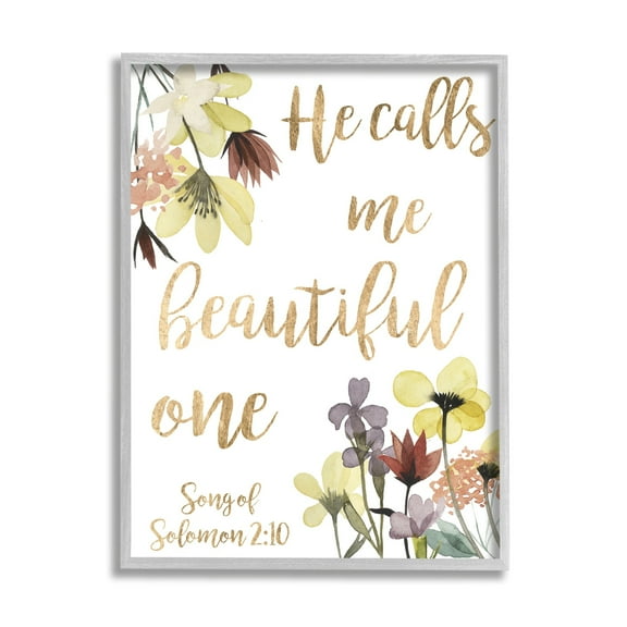 Beautiful One Proverbs Song of Solomon 2:9 16 in x 20 in Framed Painting Art Print, by Stupell Home Décor