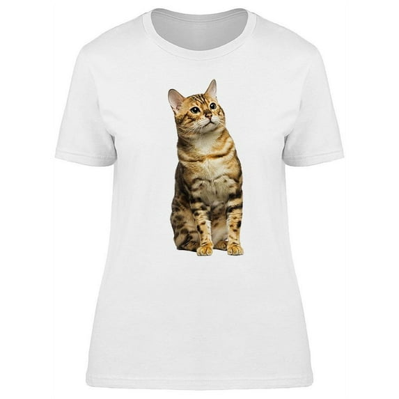 Beautiful Orange Bengal Breed T-Shirt Women -Image by Shutterstock, Female 3X-Large