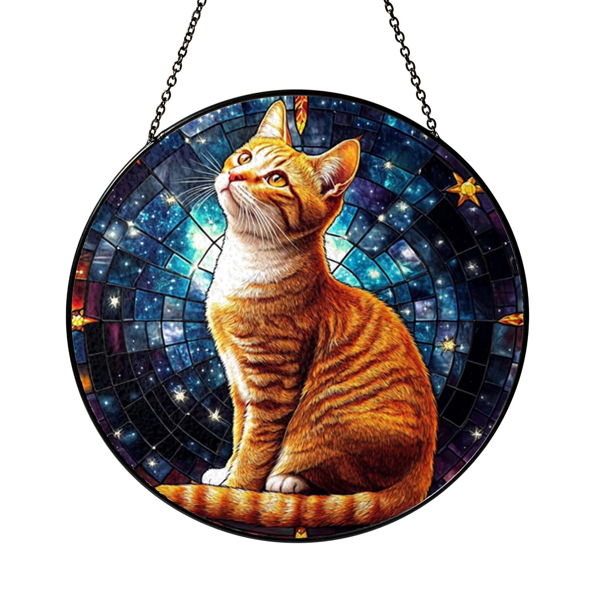 Beautiful Orange Tabby and Celestial