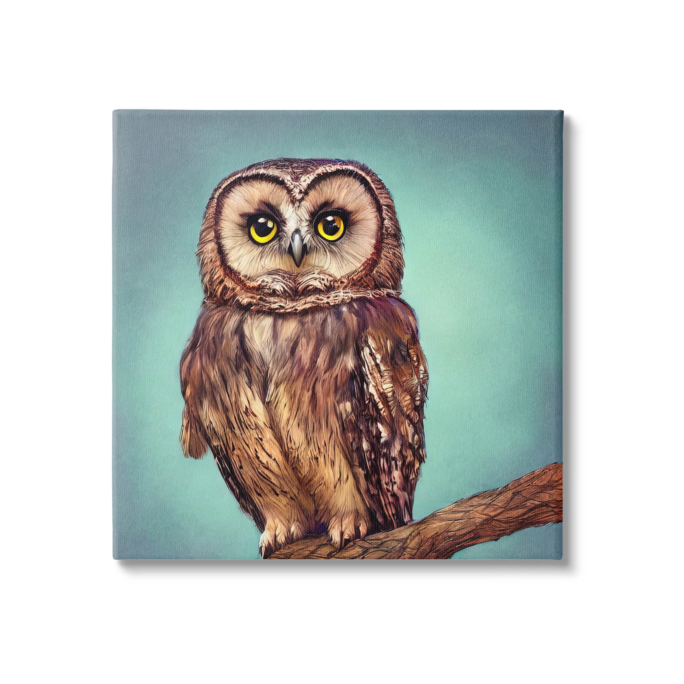 Beautiful Owl Wildlife Portrait Animals & Insects Painting Gallery Wrapped Canvas Print Wall Art