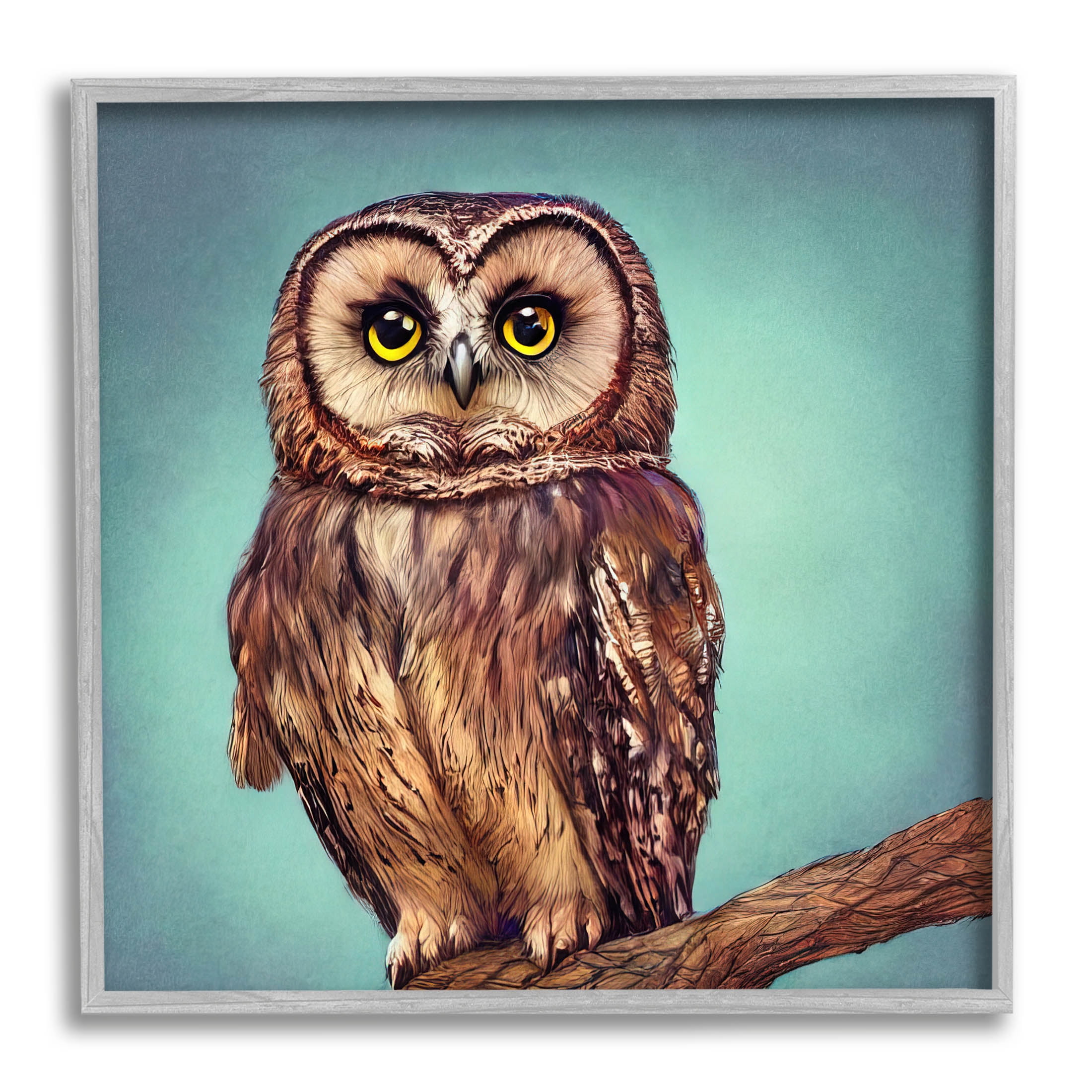 Beautiful Owl Wildlife Portrait Animals & Insects Painting Gray Framed Art Print Wall Art