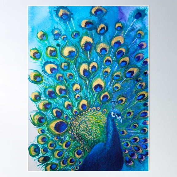 Beautiful Painted Peacock in its Full Glory Poster, 8x12 UNFRAMED