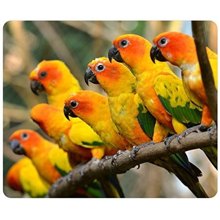 Beautiful Parrots Mouse pads Gaming Mouse Pad 9.84x7.87 inches