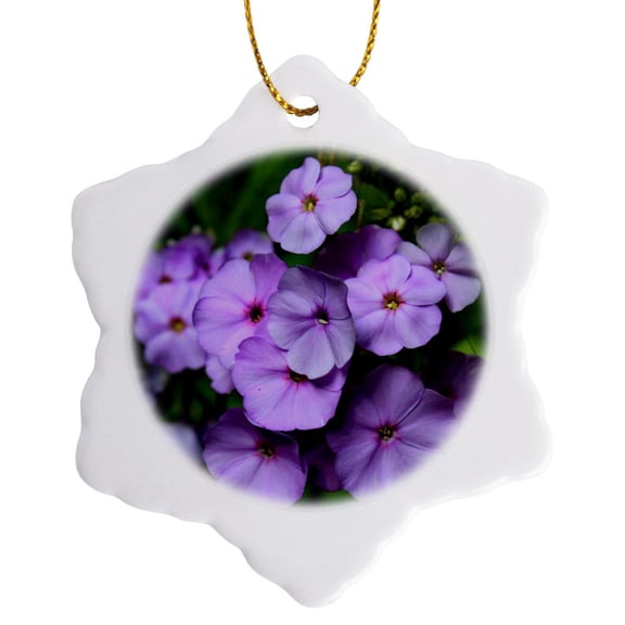 3drose, Beautiful Phlox Flowers from North Carolina, 3 inch Snowflake Porcelain Ornament