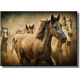 thumbnail image 1 of Beautiful Picture of Running Horses on Stretched Canvas, Wall Art Décor, Ready to Hang, 1 of 4