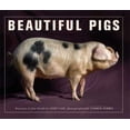 thumbnail image 1 of Pre-Owned Beautiful Pigs. by Andy Case (Paperback), 1 of 1
