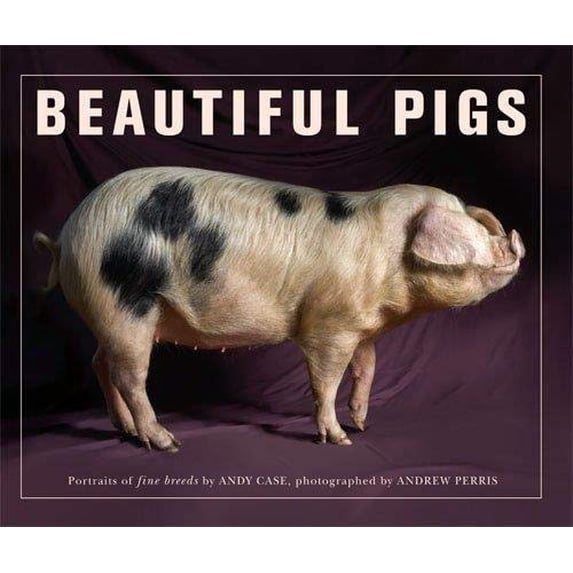 Pre-Owned Beautiful Pigs. by Andy Case (Paperback)