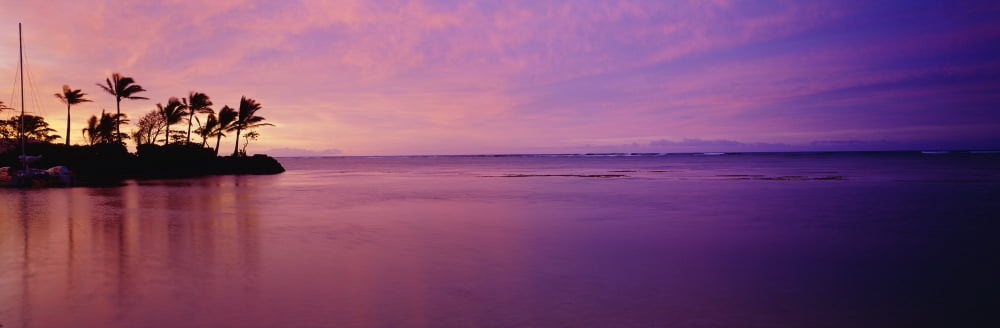 Beautiful Pink Sunset Over The Ocean Palm Trees Along The Coastline Canvas Art - David Cornwell Design Pics (36 x 12)