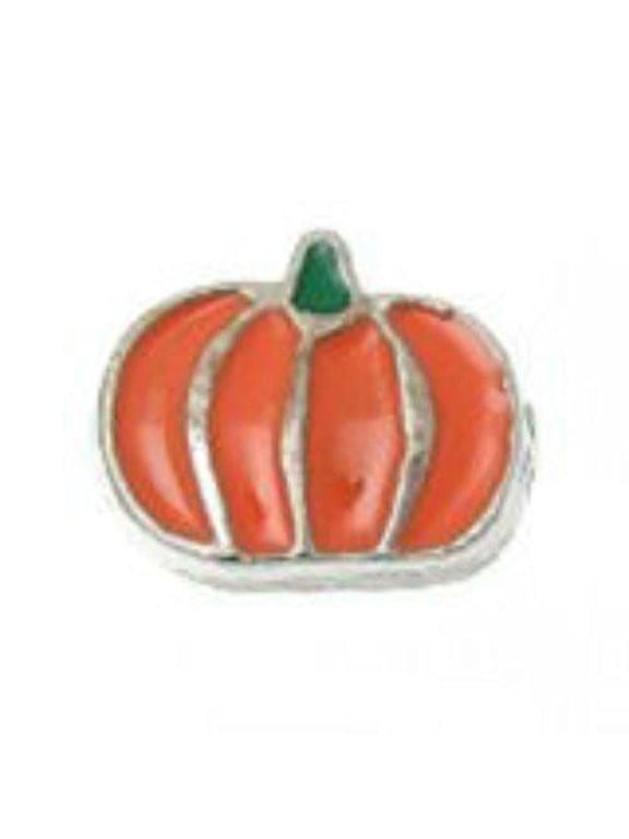 Beautiful Pumplin Floating Charms For Glass Living Memory Locket