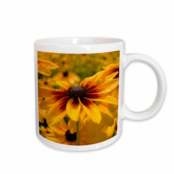 3drose, Beautiful Red and Yellow Black Eyed Susan- Flowers, 15oz Mug