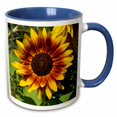 thumbnail image 1 of 3drose, Beautiful Red and Yellow Sunflower Flower Photography, 11oz Two-tone Blue Mug, 1 of 6