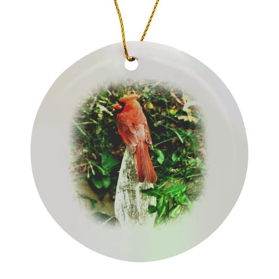 3drose, Beautiful Red Cardinal on Fence Vignette, Circle Porcelain Ornament