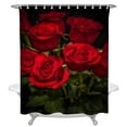 Beautiful Red Roses On A Black Background Waterproof Shower Curtain
