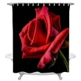 Beautiful Red Roses On A Black Background Waterproof Shower Curtain