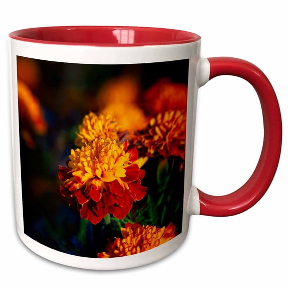 3drose, Beautiful Red, Yellow Marigold Flowers in the Evening Light, 15oz Two-tone Red Mug