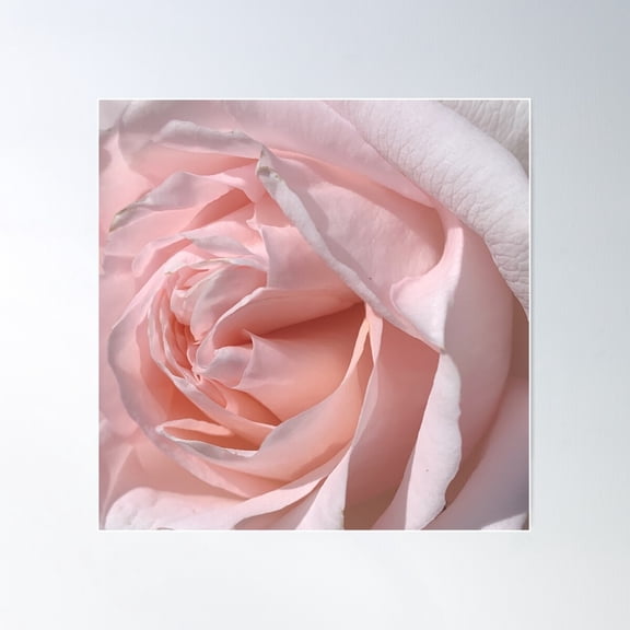 Beautiful Rose Poster Wall Art, Modern Wall Decor For Living Room Bedroom, 30x30 UNFRAMED