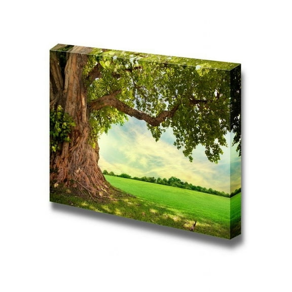 Beautiful Scenery Landscape Spring Meadow with Big Tree and Fresh Green Leaves - Canvas Art Wall Art - 32" x 48"