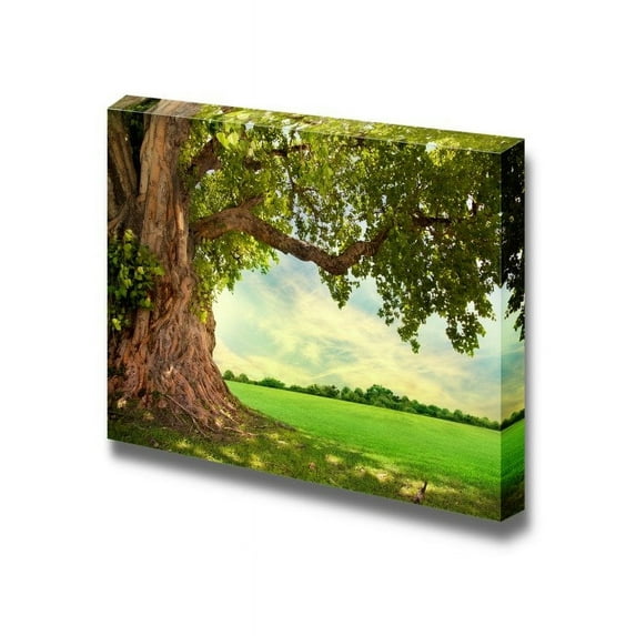 Beautiful Scenery Landscape Spring Meadow with Big Tree and Fresh Green Leaves - Canvas Art Wall Art - 32" x 48"