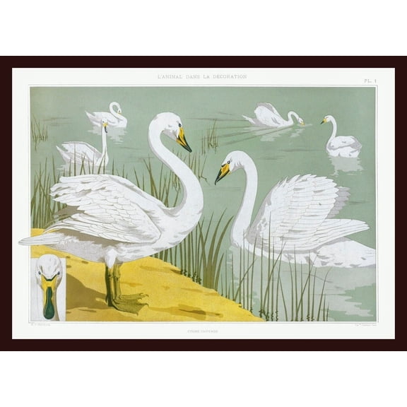 Beautiful Scenery Print 12X18 Inches Under Glass With Wooden Frame 40X30 Cm