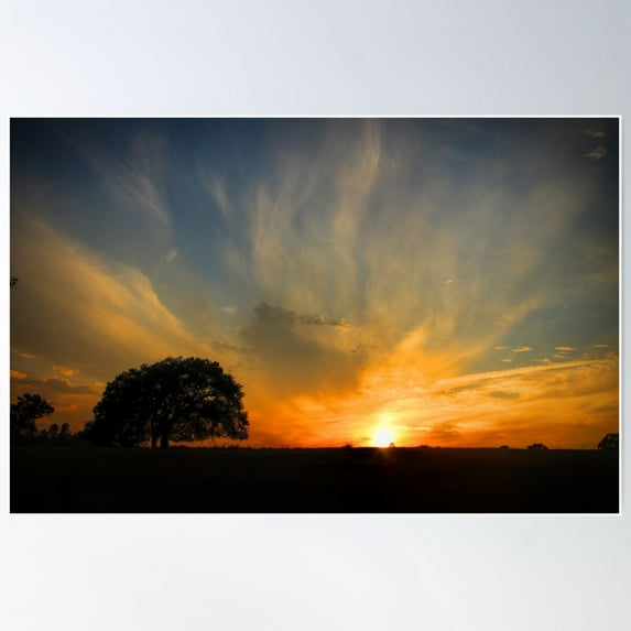 Beautiful Sky With Country Oak Tree Poster Wall Art, Modern Wall Decor For Living Room Bedroom, 8x12 UNFRAMED