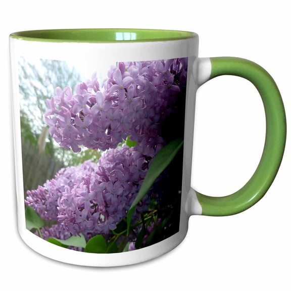 3drose, Beautiful Spring Lilacs, 11oz Two-tone Green Mug