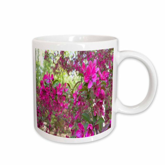 3drose, Beautiful Springtime Blossoms, 11oz Mug