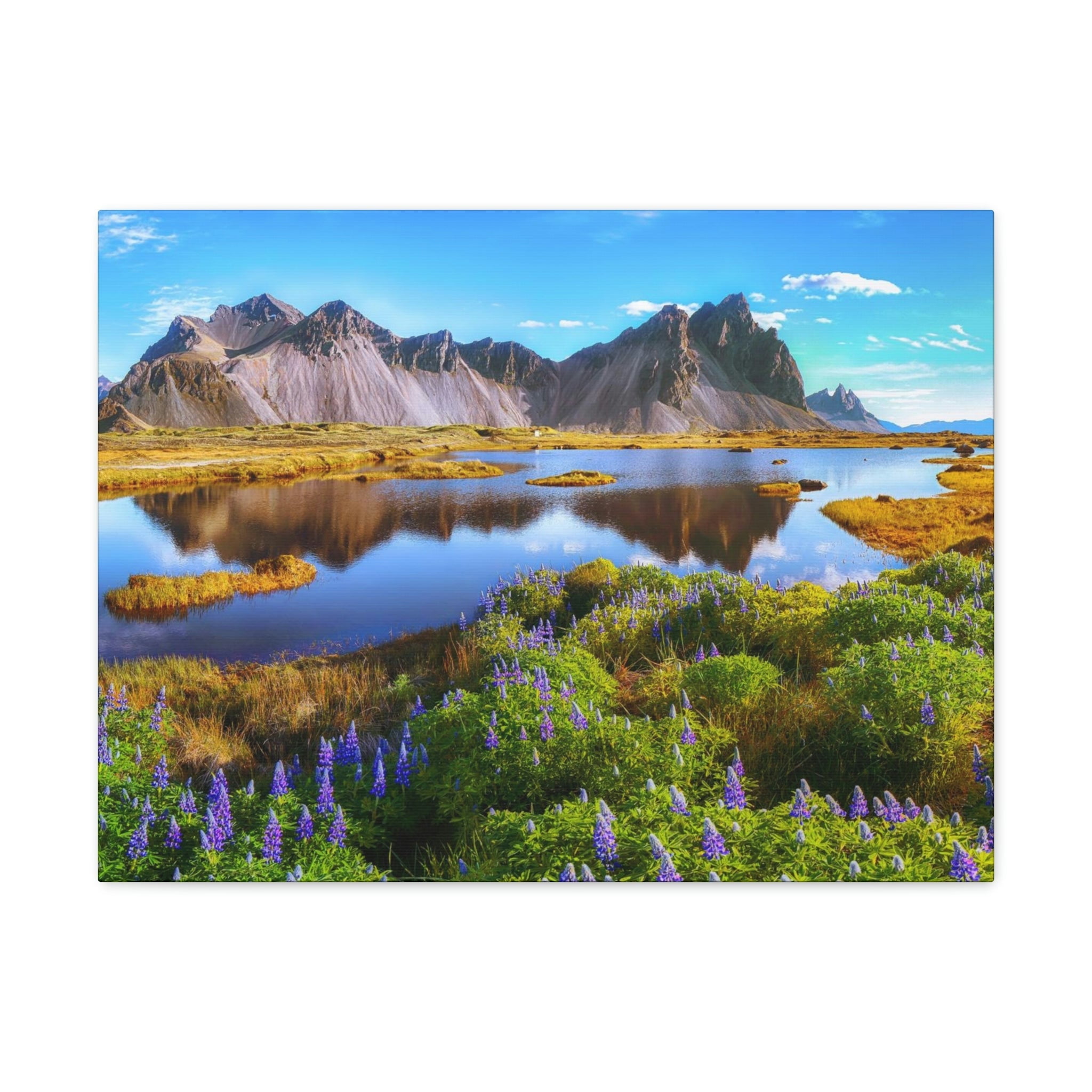 Beautiful Sunny Day Scene Beautiful And Lupine Flowers Beauty Nature Scene  Stunning Wild Wall Art Ready to Hang Unframed - Walmart.com, image size:2048x2048