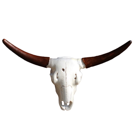 Beautiful Texture Pattern Resins Long Horn Bulls Head Unique Sculpture Eye Catching Realistic Head