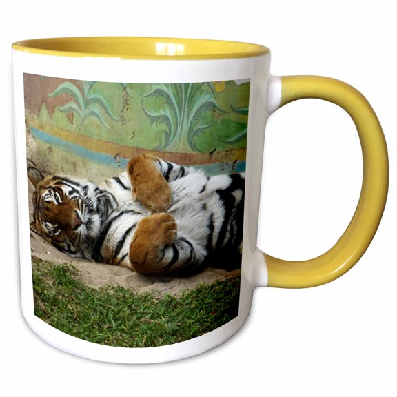 3drose, Beautiful Tiger Posing for Pictures, 11oz Two-tone Yellow Mug