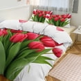 Beautiful Tulip 79