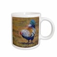 thumbnail image 1 of 3drose, Beautiful Turquoise, White, Blue and Black Feathered Barnyard Rooster., 11oz Mug, 1 of 6
