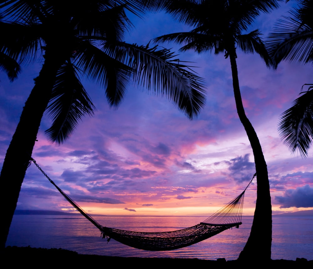 Beautiful Vacation Sunset Hammock Silhouette with Palm Trees Canvas Art - Design Pics Vibe Design Pics (15 x 12)