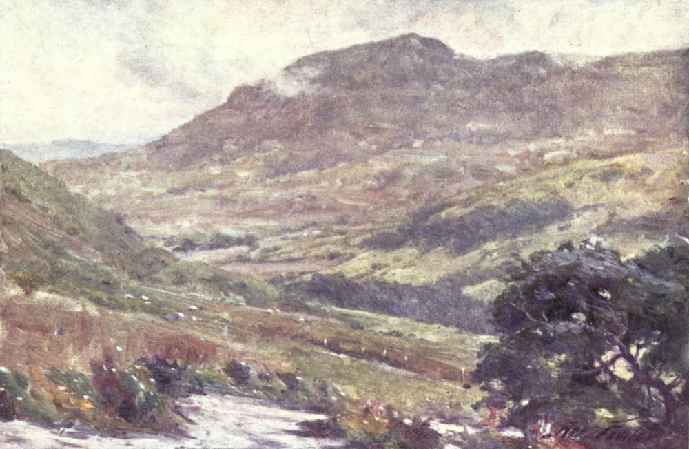 Beautiful Wales 1905 A mountain pass Canvas Art - Robert Fowler (24 x 36)
