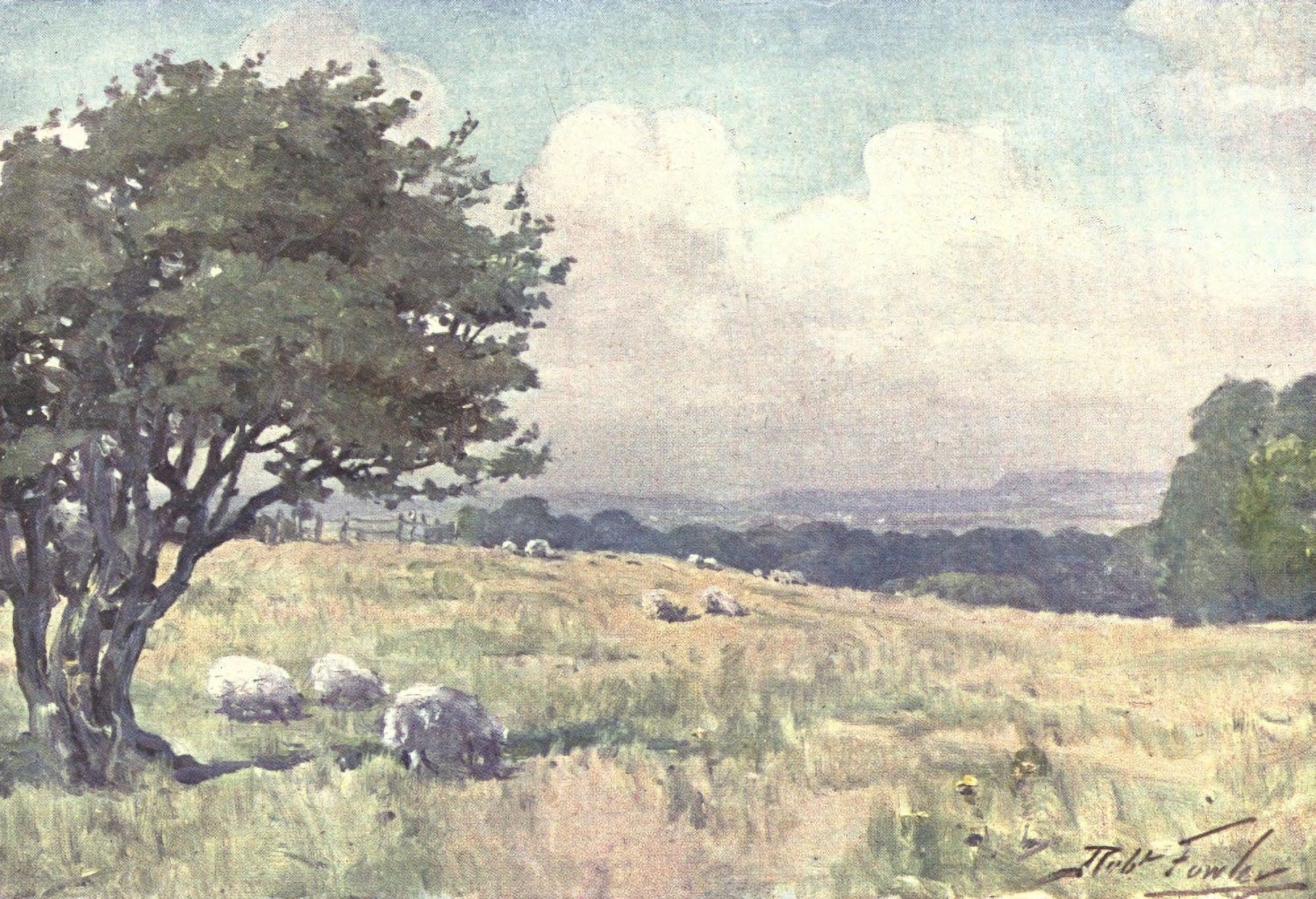 Beautiful Wales 1905 Sunny field near Llanberis Canvas Art - Robert Fowler (24 x 36)