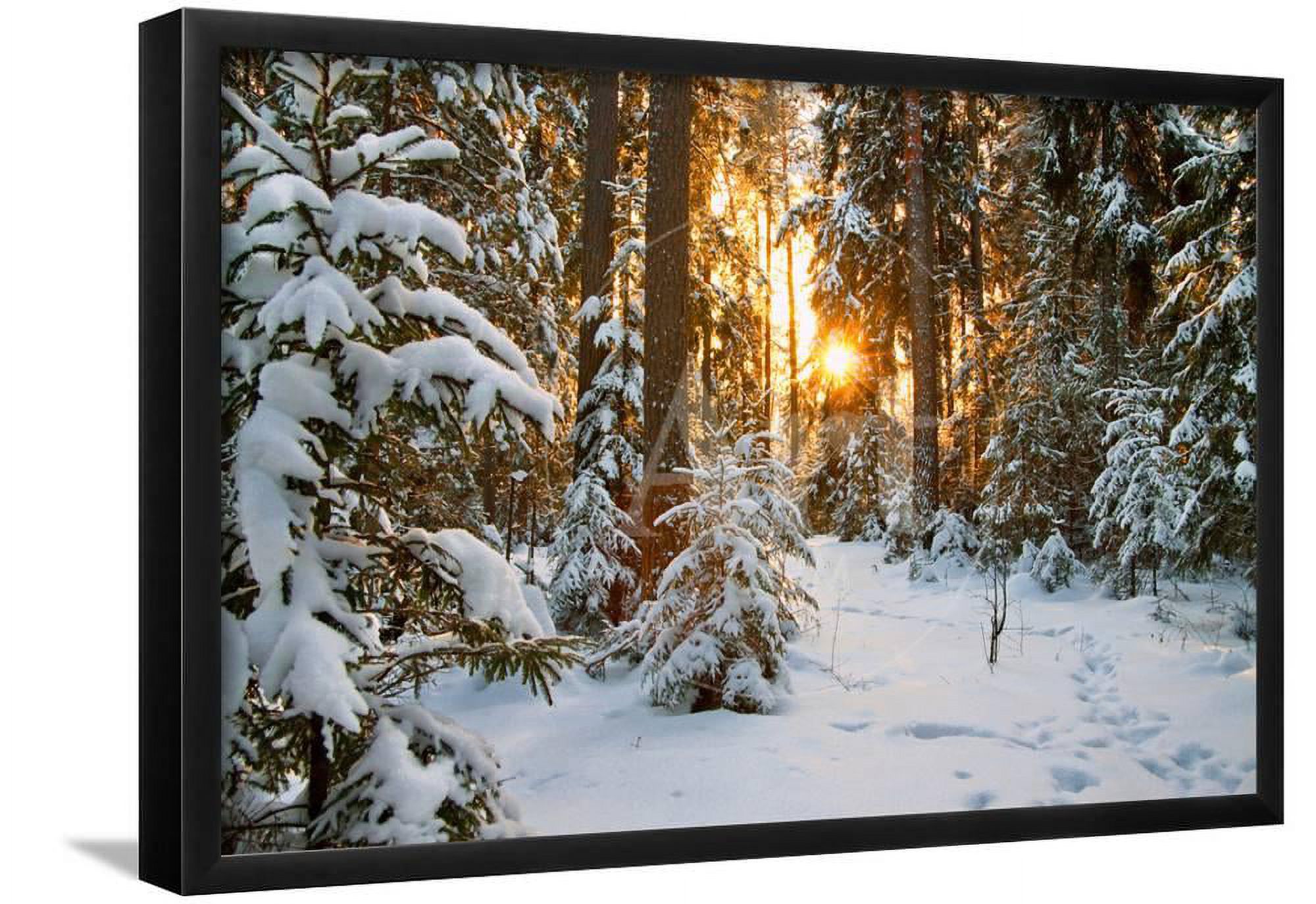 Beautiful Winter Landscape with Sunset in the Forest, Scenic Framed Art ...