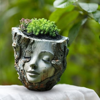 Pottery Plants