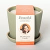 scent: Parkside Breeze