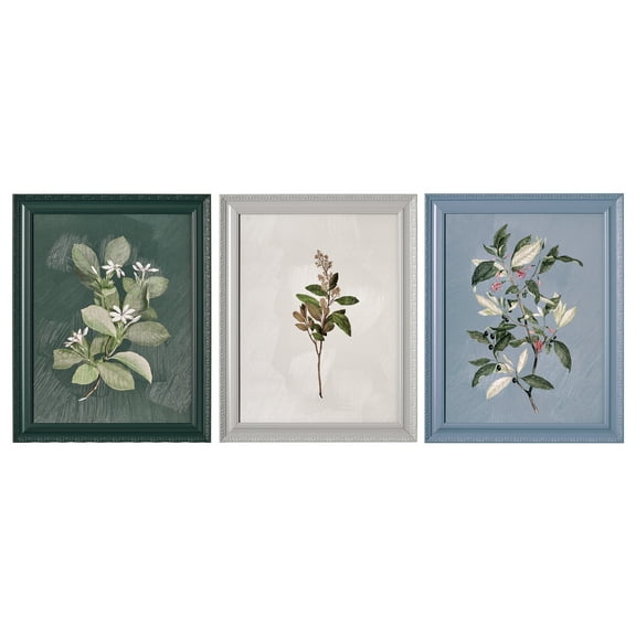 Beautiful by Drew Framed Vintage Botanical Color Block set of 3