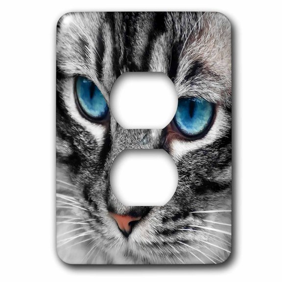 3dRose, Beautiful close up Silver Tabby Cat face with gorgeous blue eyes. , 2 plug outlet cover