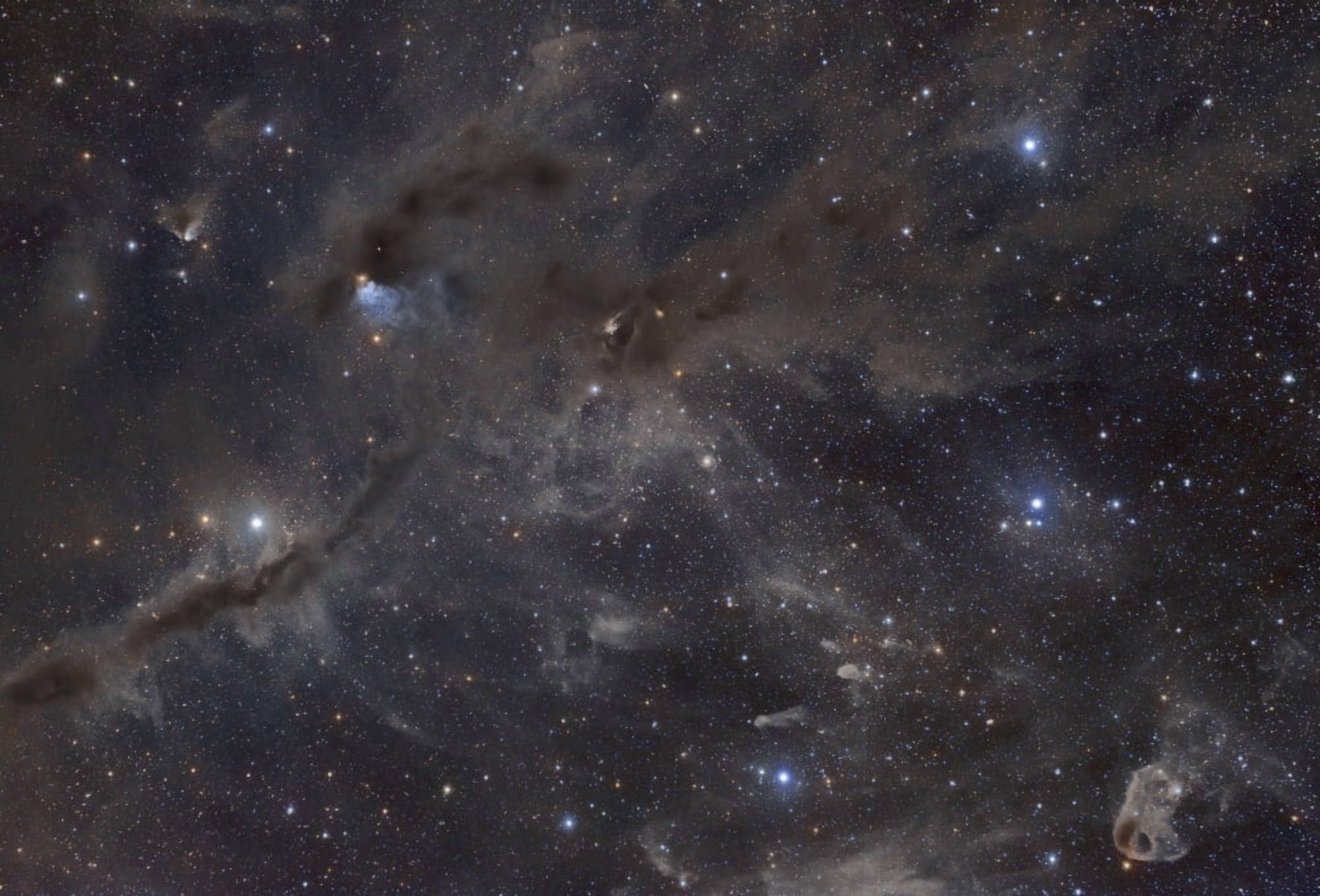 Beautiful dusty nebulae of Taurus Canvas Art - John DavisStocktrek Images (35 x 24)