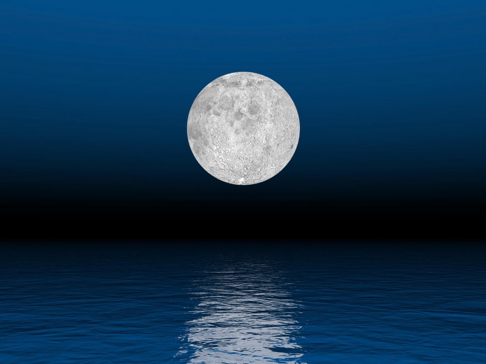 Beautiful full moon against a deep blue sky over the ocean Canvas Art - Elena DuvernayStocktrek Images (17 x 13)