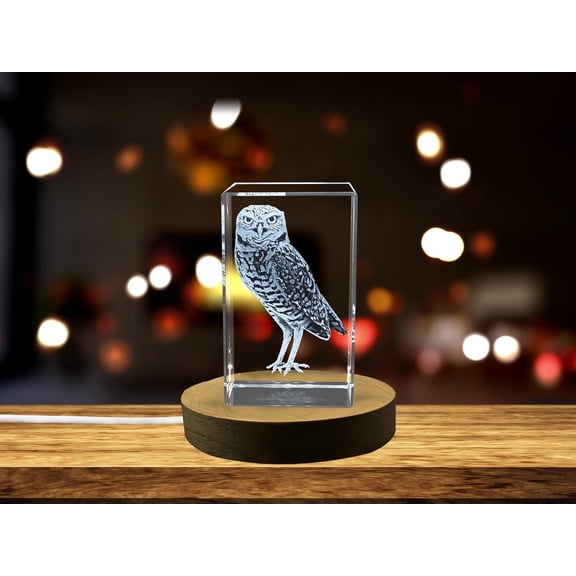Beautifully 3D Engraved Crystal of a Burrowing Owl Keepsake Gift