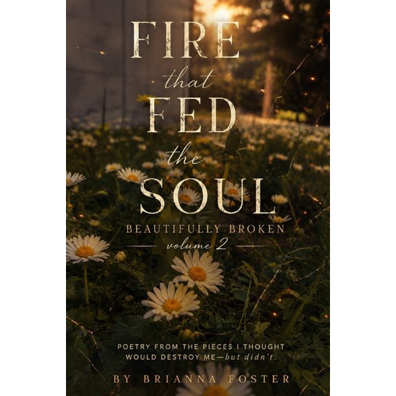Beautifully Broken Fire That Fed The Soul: Beautifully Broken, Volume 2, Book 2, (Paperback)