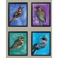 thumbnail image 1 of Beautul Framed Bird Study Set; Four 8x10in Black Framed Prints. Purple/Teal/Blue, 1 of 1