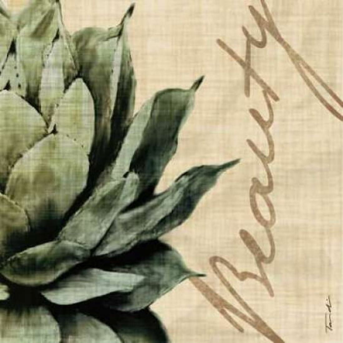 Beauty Canvas Art - Tandi Venter (24 x 24)