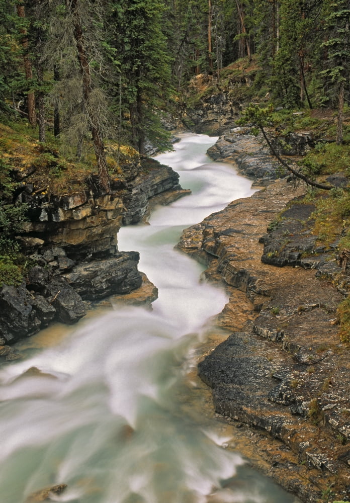 Beauty Creek Banff National Park Alberta Canvas Art - Darwin Wiggett Design Pics (11 x 16)