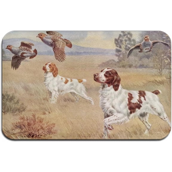 Beauty Decor Indoor Doormat Mud and Dirts Trapper Mats, Brittany Spaniel Dog, Doormat,Indoor Outdoor No Slip Mat,Funny Doormat 24X16 Inch