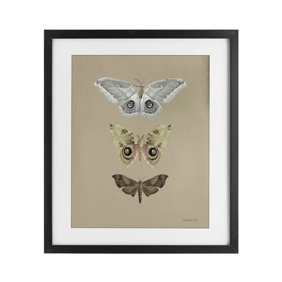 Stupell Industries Beauty Of Forest Moths Black Framed Print Under Glass, design by Danhui Nai, 21 x 17
